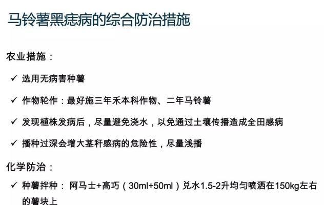 魔芋病虫害的防治技术与方法（掌握魔芋病虫害防治技术）