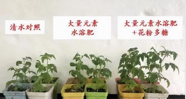 动物肉是否适合做肥料（探讨动物肉作为肥料的可行性及注意事项）