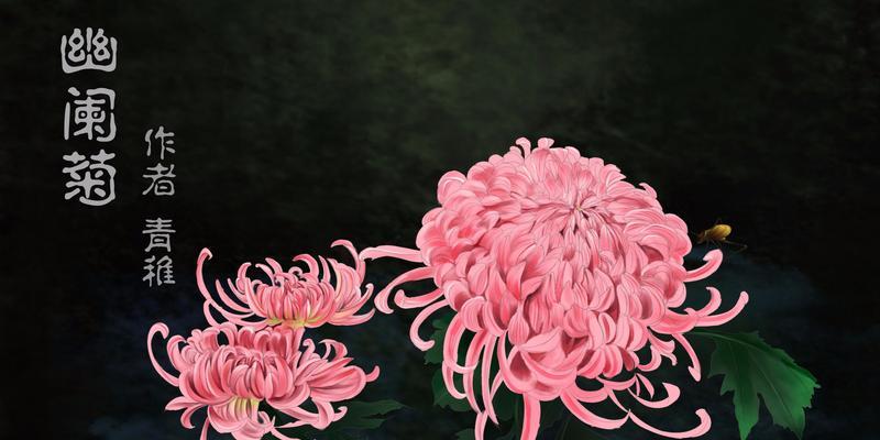 菊花的花语故事（以菊花为主角的花语故事）