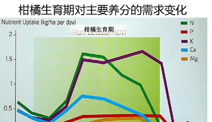 如何种植健康的桔梗（时间、方法、注意事项全解析）