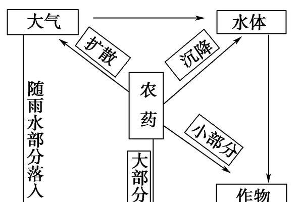 情人泪的种植方法与土壤选择（打造适合情人泪生长的土壤）