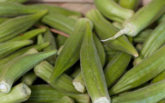 秋葵采摘之最佳收获季节（几月份采摘秋葵最合适）