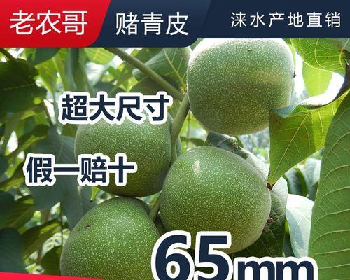 大核桃的营养价值和适宜食用量（掌握合理摄入量）