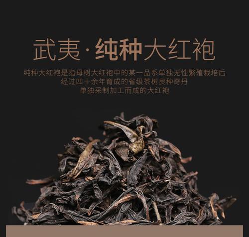 大红袍的保存方法（如何妥善保存茶叶）